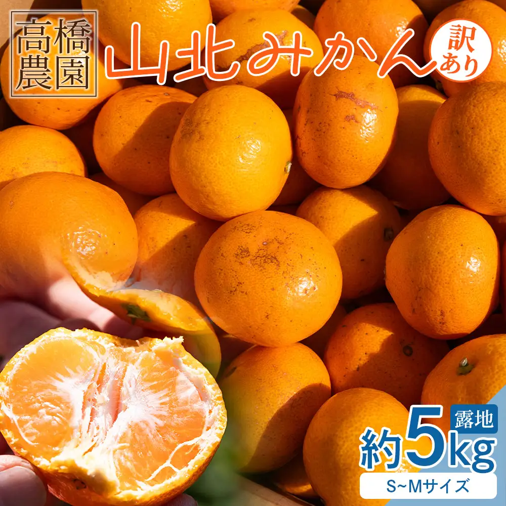 訳あり みかん 5kg 山北みかん 小玉 th-0030