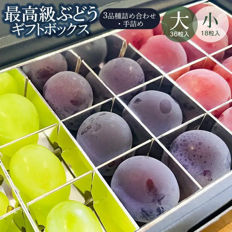 【令和8年産先行予約】贈答用に　大粒選りすぐり　最高級ぶどう ギフトボックス【大】36粒入 高級3品種 詰合せ（手詰め）　カラフルぶどう園