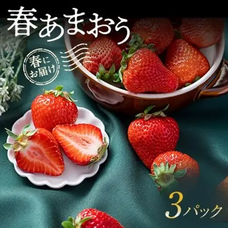 【2027年発送先行受付】春にお届け!福岡産はるあまおう3パック_果物・フルーツ いちご  イチゴ 苺_【配送不可地域：離島】【1333571】