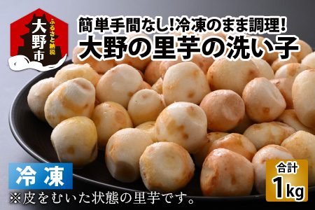【先行予約】簡単手間なし！冷凍のまま調理！大野 里芋の洗い子 1kg×1袋 【10月中旬より順次発送】｜サトイモ 煮物 煮っころがし