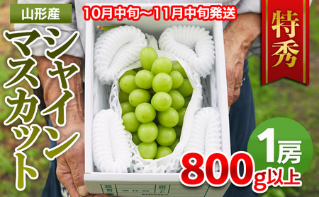 山形市産 シャインマスカット 特秀 1房 800g以上【後半】  FZ22-999