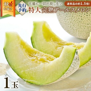 完熟 特大 アールスメロン １玉