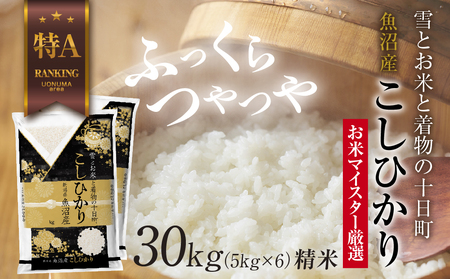 魚沼産 コシヒカリ 5kg ×6袋 計30kg お米 こしひかり 新潟 （お米の美味しい炊き方ガイド付き） 精米 ご飯 ブランド米 銘柄米 