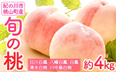 桃 和歌山の桃 約4kg