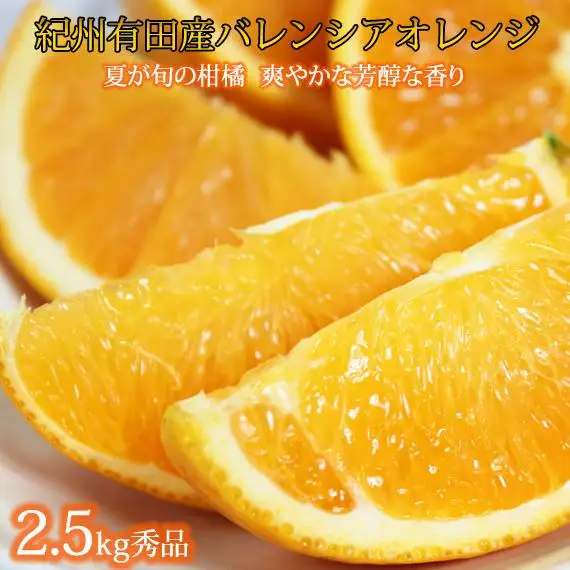 秀品 希少な国産バレンシアオレンジ 2.5kg［2026年6月下旬頃～2026年7月上旬頃に順次発送］［UT75］