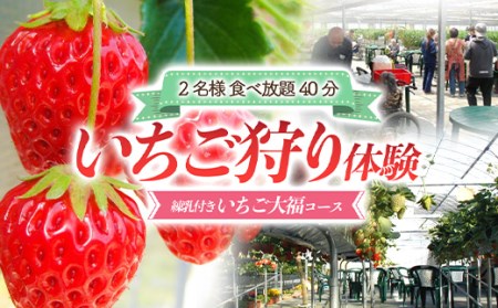 いちご狩り体験 2名様 食べ放題40分 練乳付き いちご大福コース 【現地体験型】 利用券 チケット 観光 旅行 イチゴ 苺 F4H-0032