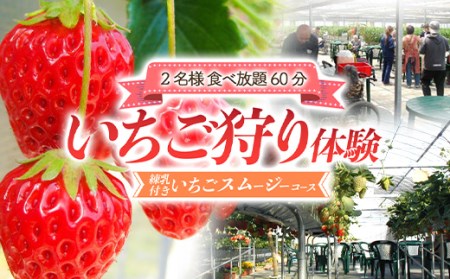 いちご狩り体験2名様 食べ放題1時間 練乳付き いちごスムージーコース 【現地体験型】 利用券 チケット 観光 旅行 イチゴ 苺 F4H-0033