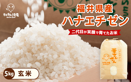 【令和7年産】ハナエチゼン 5kg～坂井市三国町産・こだわりの精米対応～（玄米） [A-0268_04]
