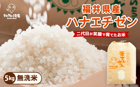 【令和7年産】ハナエチゼン 5kg～坂井市三国町産・こだわりの精米対応～（無洗米） [A-0268_05]