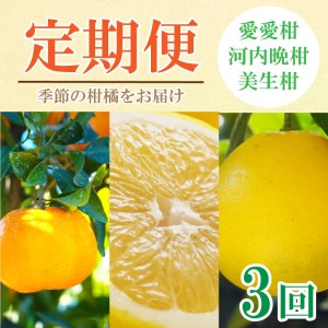 定期便 3回 3ヶ月 ポンカン 美生柑 河内晩柑  柑橘 みかん 蜜柑 みしょうかん フルーツ 果物 くだもの ばんかん かんきつ ゼリー ジュース アイス マーマレード 旬 季節 限定 贈答 ギフト mikan ジューシー サラダ ピール 厳選 国産 愛媛 ご当地ブランド 愛媛県 愛南町 フルーツアイランド･マルエム直販