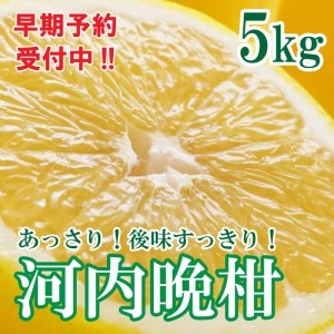 【先行予約 2026年6月ごろ発送開始】河内晩柑 ばんかん 約 5kg 家庭 柑橘 かんきつ フルーツ 果物 くだもの 厳選 愛媛 みかん 蜜柑 愛南 ご当地 ブランド 野菜 サラダ ピール ゼリー お菓子 デザート マルエム直販 (なくなり次第終了)