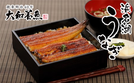 訳あり 浜名湖うなぎ蒲焼 80g×3尾 真空パック 冷蔵【浜名湖産うなぎ・国産うなぎ】 魚介類 老舗 自社養殖 手焼き 小ぶり サイズ 贅沢 来客時 スタミナ料理 うな丼 ひつまぶし 土用の丑の日 静岡県 浜松市