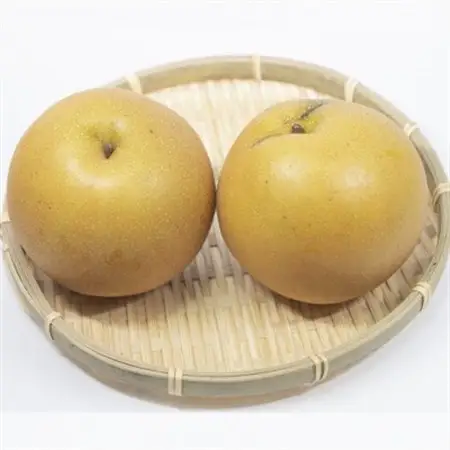 栃木県小山市産　にっこり梨　5kg【1334082】