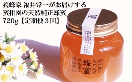 【定期便3回】蜜柑園の天然純正蜂蜜 720g×3