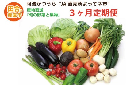【定期便3回】阿波かつうら 農産物詰合わせ