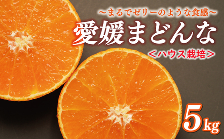 【紅まどんなと同品種】 【先行予約】まどんな 5kg 前田ファーム