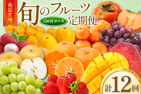 旬のフルーツ定期便 12か月コース【F113-25】
