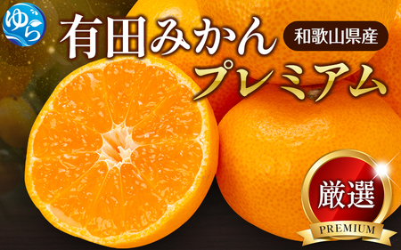 鹿蔵 プレミアム 有田 みかん 1kg+250g（傷み補償分）(完熟) / 温州みかん 有田みかん 光センサー 選別 甘い 和歌山 柑橘 ※2026年10月上旬～11月中旬頃に順次発送予定 ※北海道・沖縄・離島への配送不可 【ikd004-prem-1B】