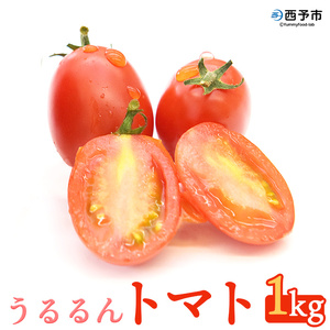 甘くて濃厚な味わい「うるるんトマト」(1kg） NFK0001