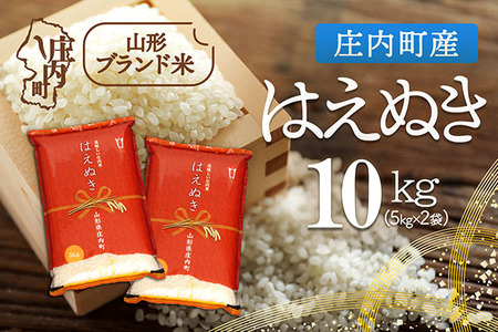 庄内町産 はえぬき 10kg 5kg×2袋 令和7年産 2025年産 ブランド米 米 国産 単一原料米 山形 庄内平野 コシヒカリの原点、亀の尾発祥の地 庄内