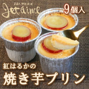 焼き 芋 いも プリン 9個 紅 はるか さつまいも お菓子 スイーツ デザート 洋菓子 秋 旬 生 クリーム 牛乳 洋 酒 卵 贈答 ギフト 10000円 冷凍 野菜 やさい 国産 愛媛 愛南