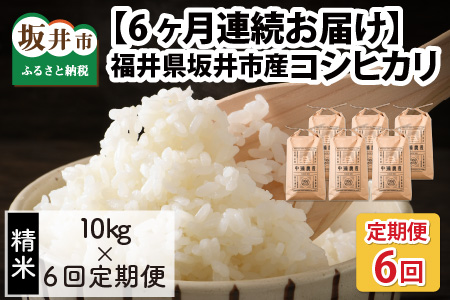 【先行予約】【令和8年産・新米】【6ヶ月定期便】 コシヒカリ10kg×6回　合計60kg（精米）【2026年10月より順次発送予定】 [L-11304_03]