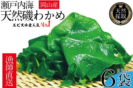 わかめ 風味豊かな 瀬戸内 わかめ 22g×6袋 乾燥