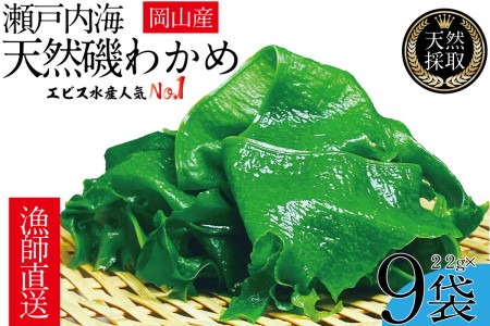 わかめ 風味豊かな 瀬戸内 わかめ 22g×9袋