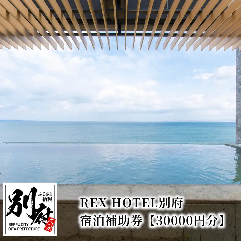 REX HOTEL別府　宿泊補助券【30000円分】_B136-001