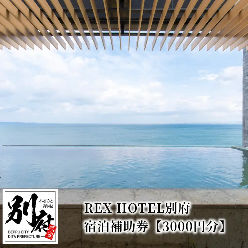 REX HOTEL別府　宿泊補助券【3000円分】_B136-003