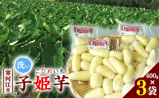 令和8年産 洗い里芋 「子姫芋（こひめいも）」 1.2kg以上 （400g×3袋） 2026年産 山形県産 【2026年9月下旬頃から11月上旬頃配送予定】　014-B-CS002