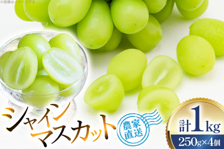 【期間限定発送】 シャインマスカット 粒 ジュエルボックス 250g 4個 計 1kg [治右衛門果樹園 山形県 高畠町 tk06ays830008]
