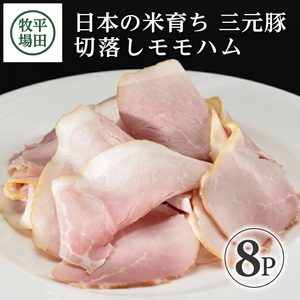 SA1335　【平田牧場】 三元豚 切り落としモモハム　100g×8パック