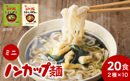 ミニノンカップ麺 おわん麺セット20食（2種×10食）