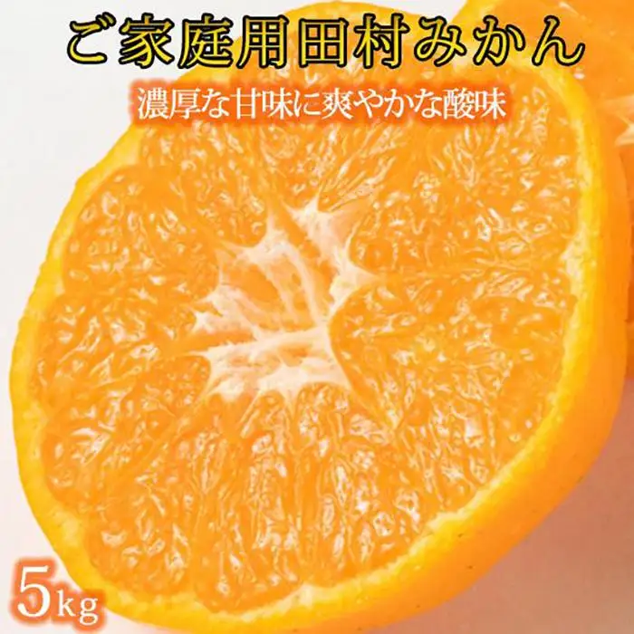 ［ご家庭用訳あり］田村みかん　5kg［2026年11月下旬以降発送］［先行予約］［UT18］