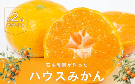 2Sサイズ 20玉～25玉 石本農園のハウスみかん 約2kg【mis009B】