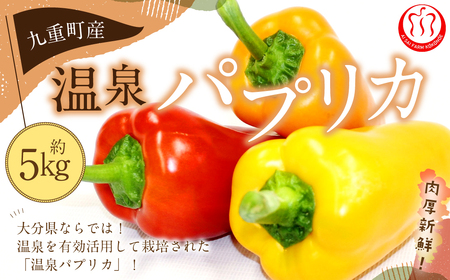 大分県九重町産 温泉 パプリカ 5kg