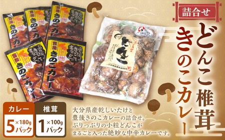 どんこ 椎茸 100g×1袋・ きのこ カレー  180g×5袋 詰合せ セット