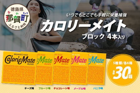 【大塚製薬】カロリーメイト ブロック 4本入り 合計30箱 5種類×各6箱【徳島 那賀 カロリーメイト ブロック タイプ 5大栄養素 バランス栄養食 栄養補給 仕事 勉強 スポーツ 防災 災害 地震 非常食 常備食 備蓄 受験 受験応援 新生活 大塚製薬】MS-1
