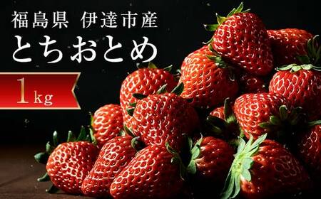 SALE中★冷凍いちご とちおとめ 12kg 完熟とちおとめ 冷凍いちご 12kg バラ凍結 - メルカリ