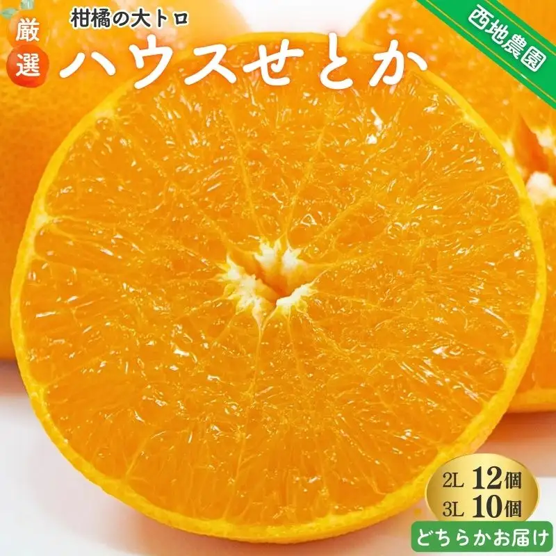 せとか 西地農園のハウスせとか 2L 12個 or 3L 10個【2027年2月中旬より順次発送】【mnd003B】