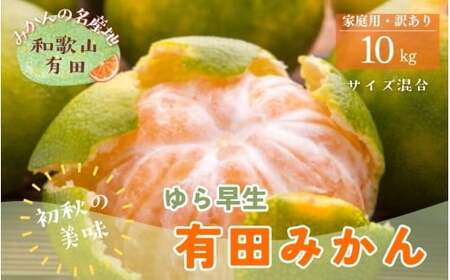 【初秋の美味】有田育ちのご家庭用ゆら早生有田みかん　約10kg+200g(傷み補償分)【サイズ混合】【2026年10月中旬～11月上旬頃に順次発送予定】【ard053C】