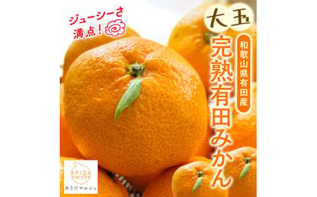 【果汁たっぷり】迫力満点！ 大粒 完熟有田みかん 家庭用 サイズ混合(2L～4L)　約10.2kg(10kg+200g)【2026年11月中旬～1月中旬頃に順次発送予定】【ard055D】