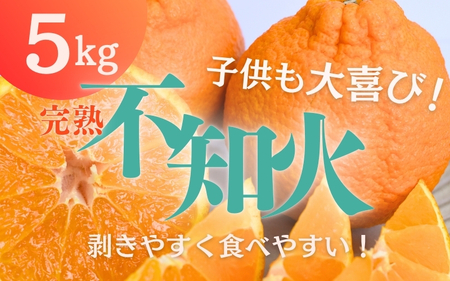 不知火 たにぐち農園の完熟不知火 5kg【mtn011B】
