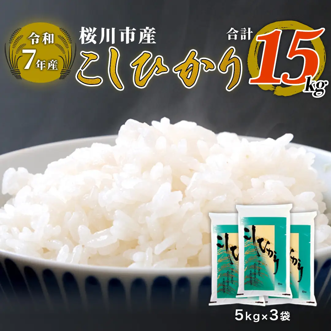 【 令和7年産 】 数量限定 桜川市産こしひかり 15kg （5kg×3袋） 茨城県産 桜川 米 お米 白米 コメ ごはん 精米 コシヒカリ こしひかり 国産 限定 [AX006sa]