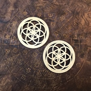 シードオブライフ パワープレート　2枚入り×2　三重県産　ひのき製／KOSHIKARI　ふるさと納税　インテリア　大紀ブランド　三重県　大紀町