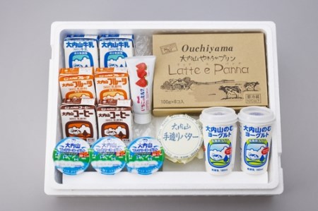（冷蔵） 大内山ミルク村 おすすめ Ｂ ／ ふるさと納税 プリン ヨーグルト 牛乳 乳飲料 バター 大紀ブランド 三重県 大紀町