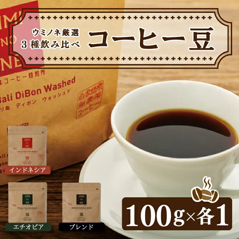 スペシャルティ コーヒー 3種 飲み比べ セット お取り寄せ ブレンド インドネシア エチオピア 100g × 各1袋 新鮮 無農薬 贈り物 下関市 山口 EW001-NT