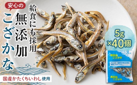 給食使用で安心の無添加こざかな F21K-686