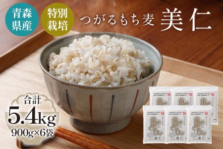 [青森県産もち麦・特別栽培] (農薬・化学肥料不使用) つがるもち麦 美仁 900g×6袋 [0347]